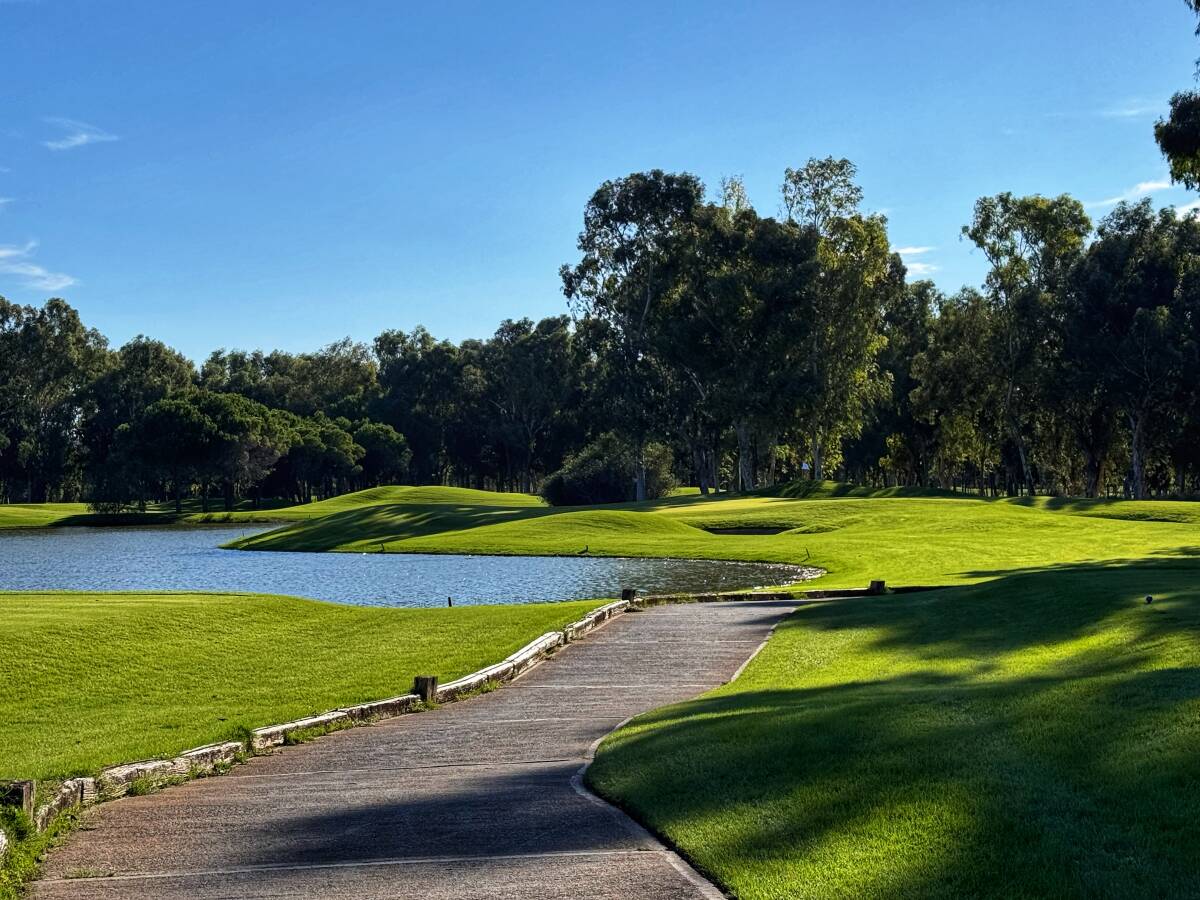 Pasha Course im Antalya Golf Club in Belek mit Pinienwäldern und Green im Sonnenlicht