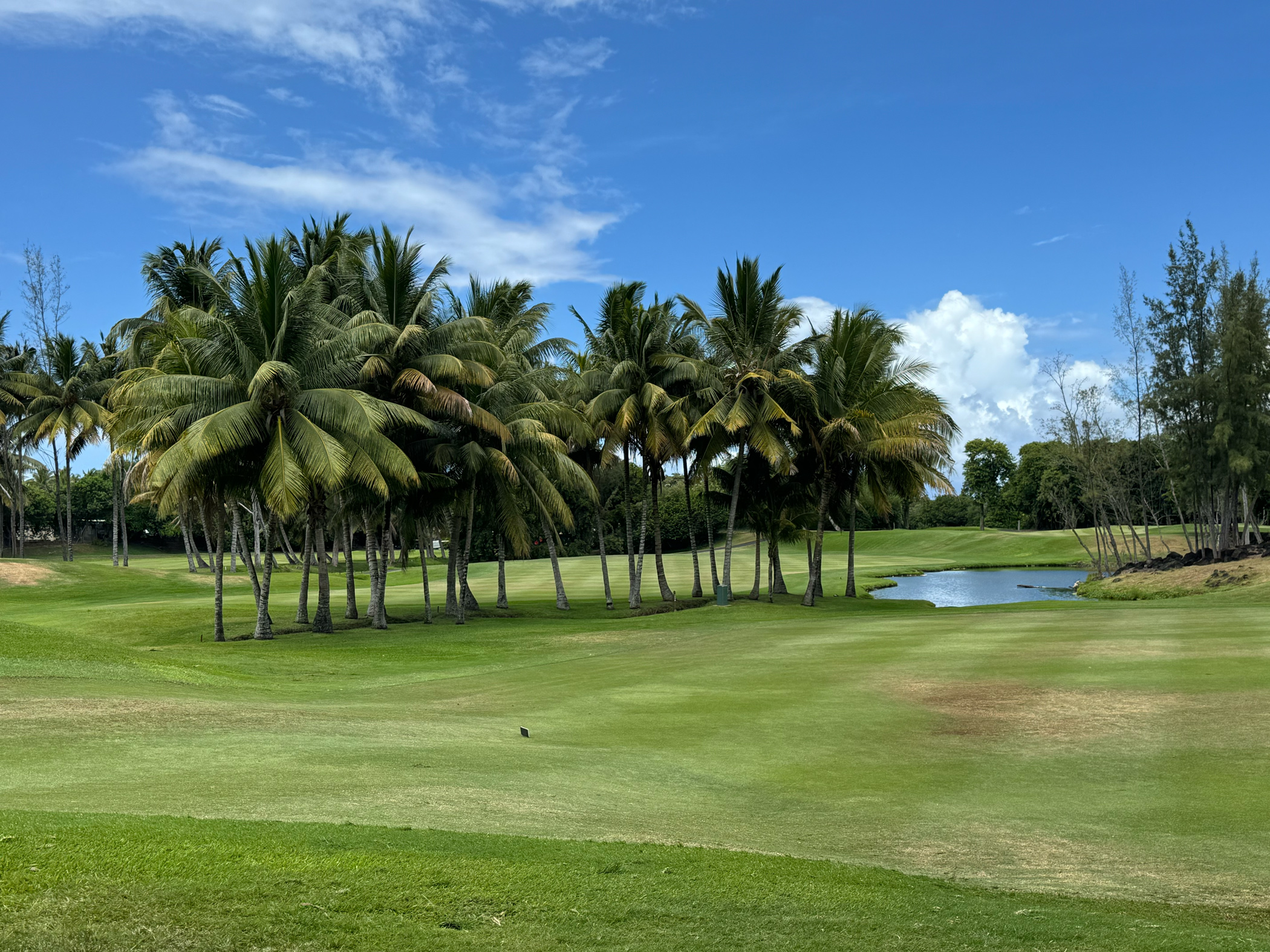 Fairway mit Palmen auf dem Legend Golf Course, Mauritius