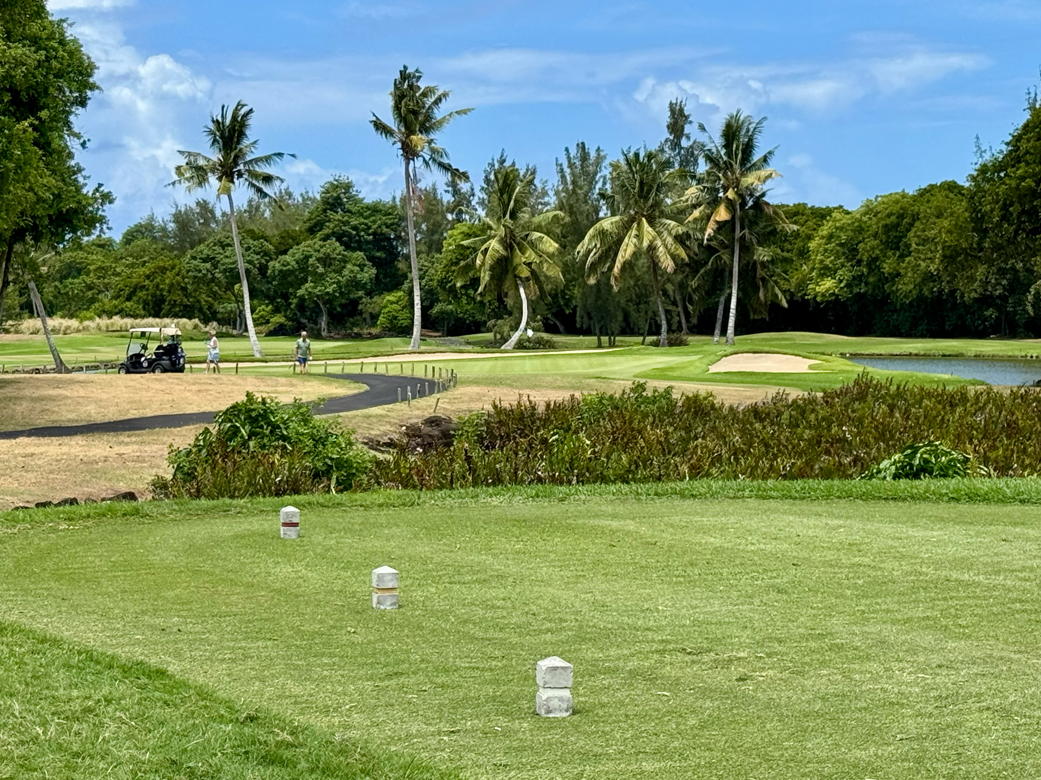 Traumszene auf dem Golfplatz, Par 3, Loch 7 mit Palmen und einem Golfcart