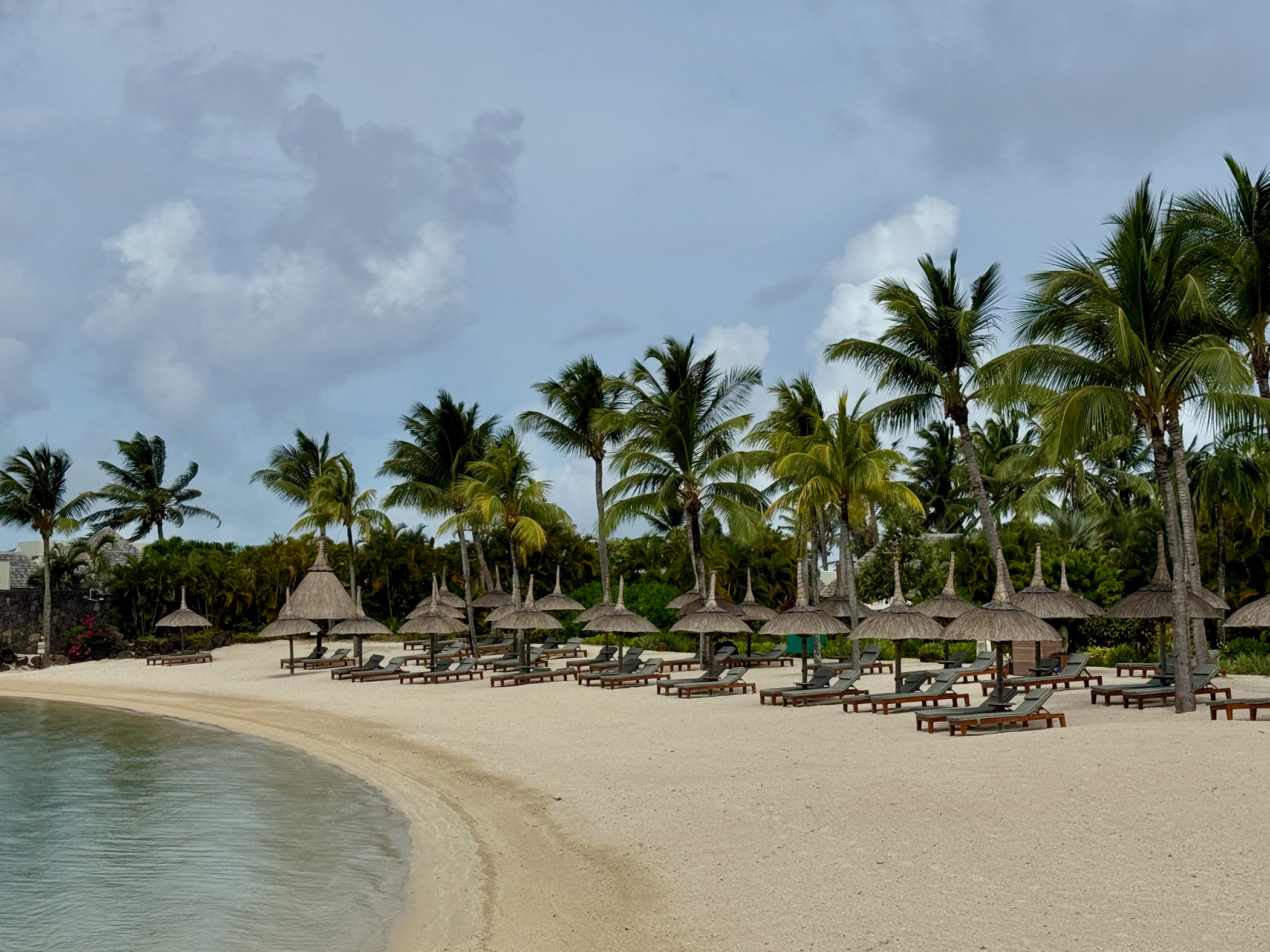 Tropischer Strand mit Palmen und Liegen