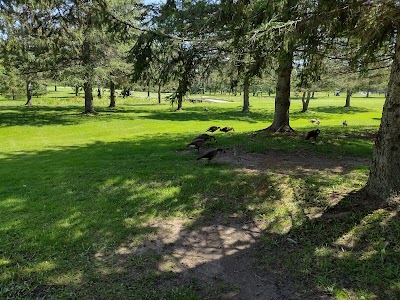 Place Photo