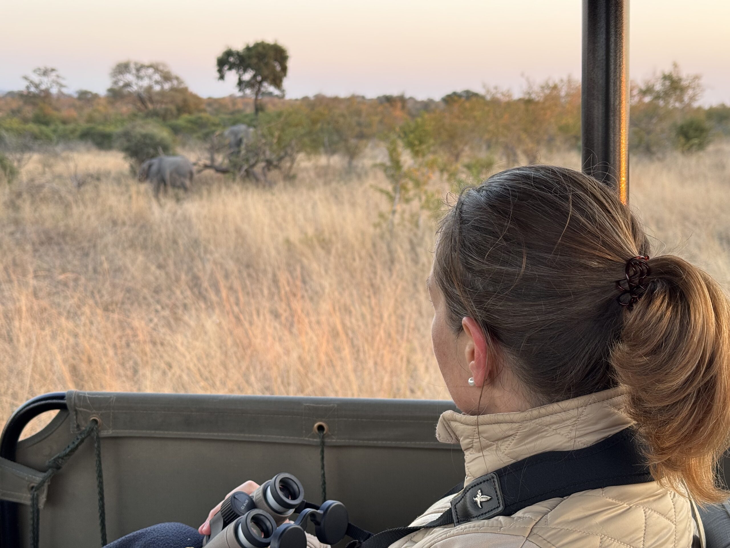 Frau beobachtet Elefanten in der Savanne.