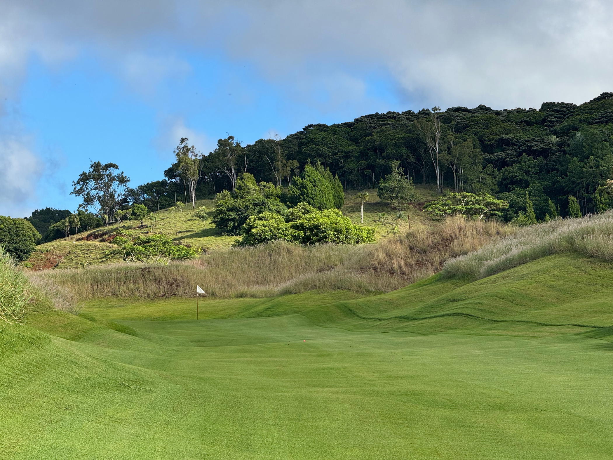 Blick auf das Green mit Fahne am Loch 2