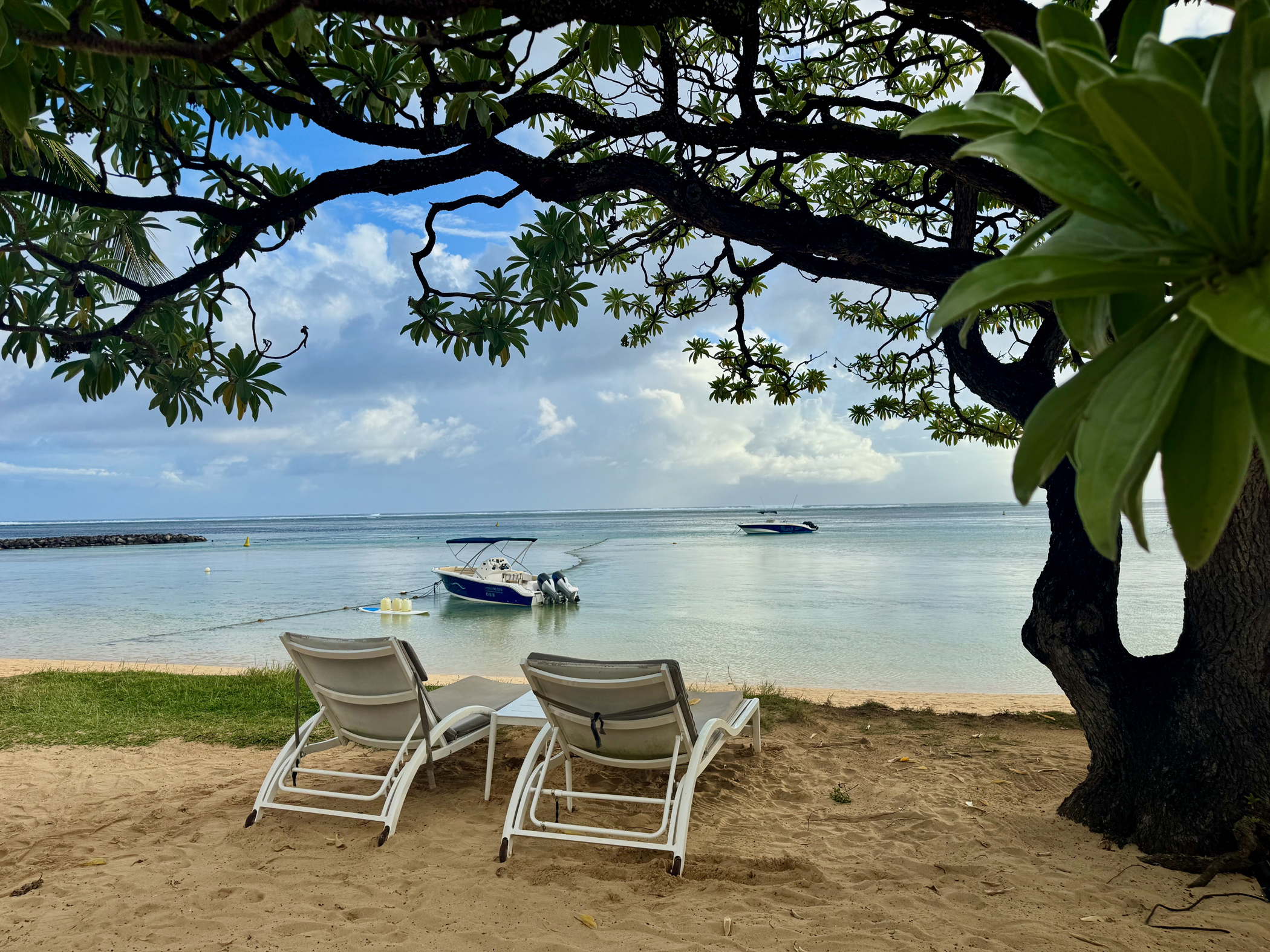 Strandabschnitt im Heritage Le Telfair Mauritius mit Palmen und ruhigem Meer