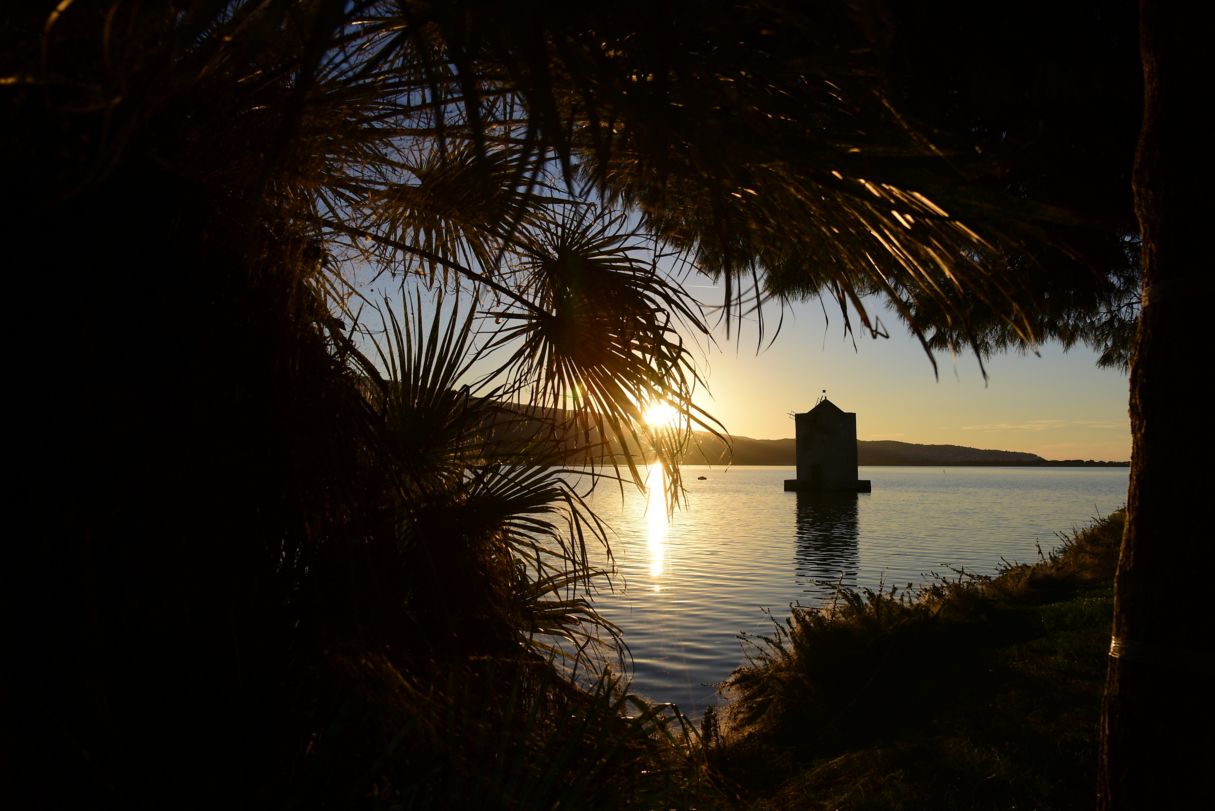 Palmen rahmen einen einsamen Turm im Wasser – die Maremma zeigt sich von ihrer romantischen Seite, ohne dabei übertrieben zu werden.