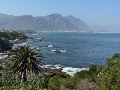 Panorama der Walker Bay mit Bergen vom Hermanus Cliff Path