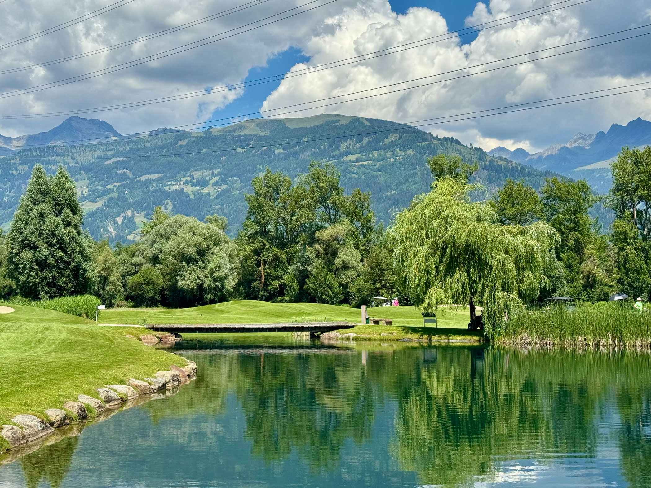 wasserhindernis mit brücke und bäumen am grün