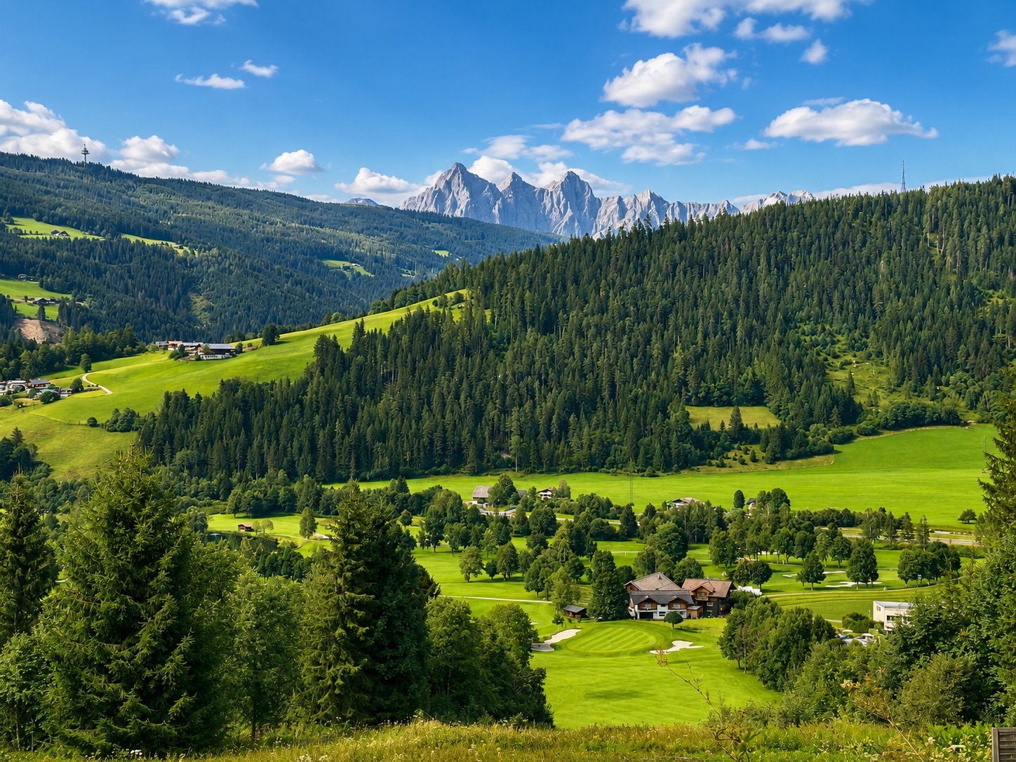 Grünes Tal mit Bergen im Hintergrund