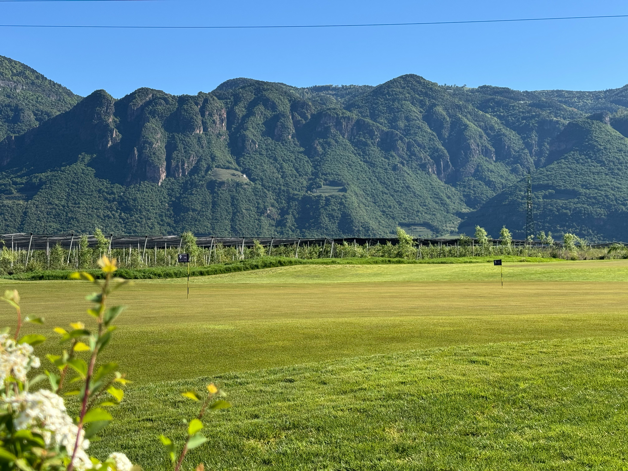 Grünes Golfplatz mit Bergen im Hintergrund