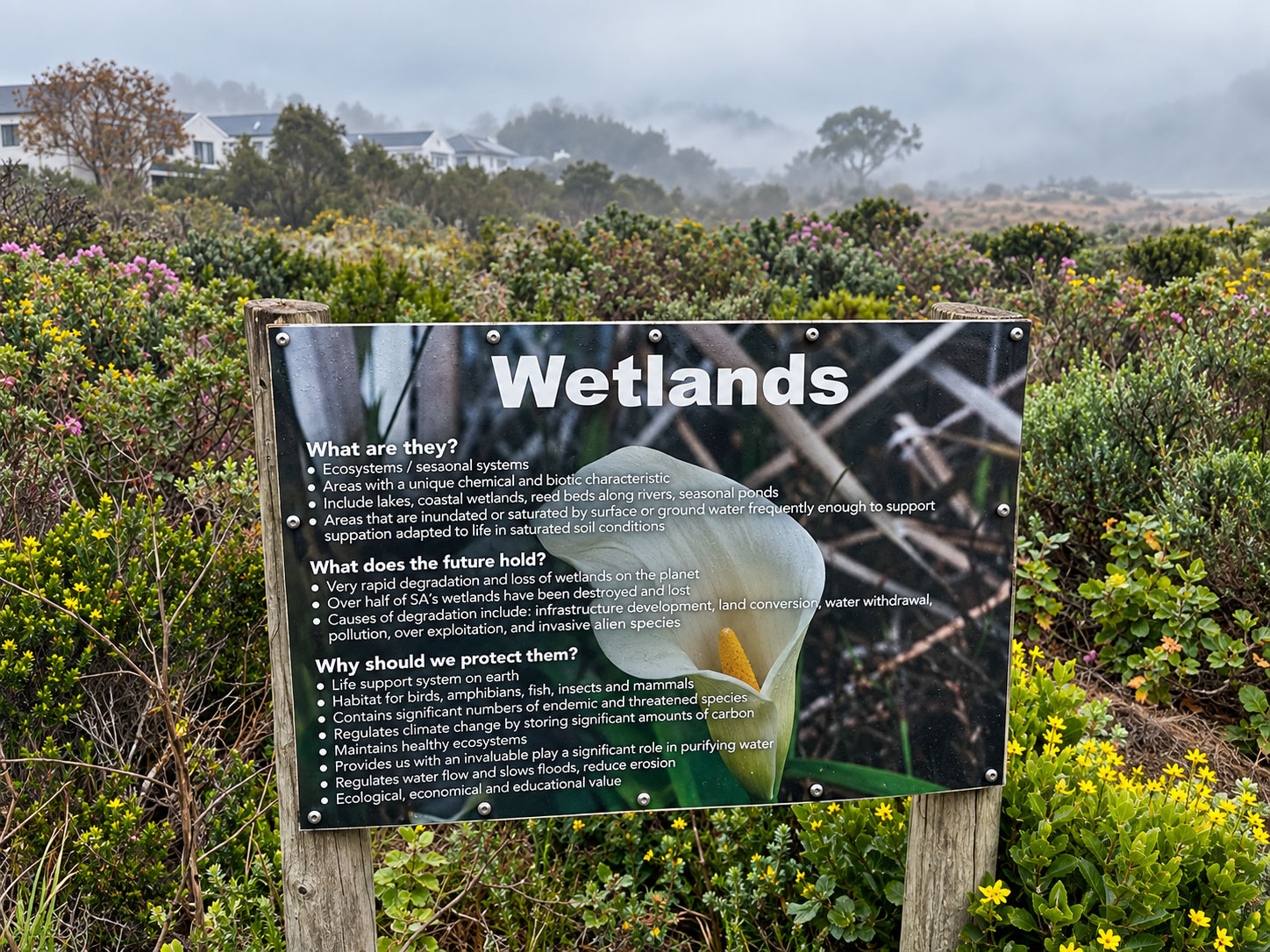 Informationstafel zu den Wetlands am Hermanus Golf Club