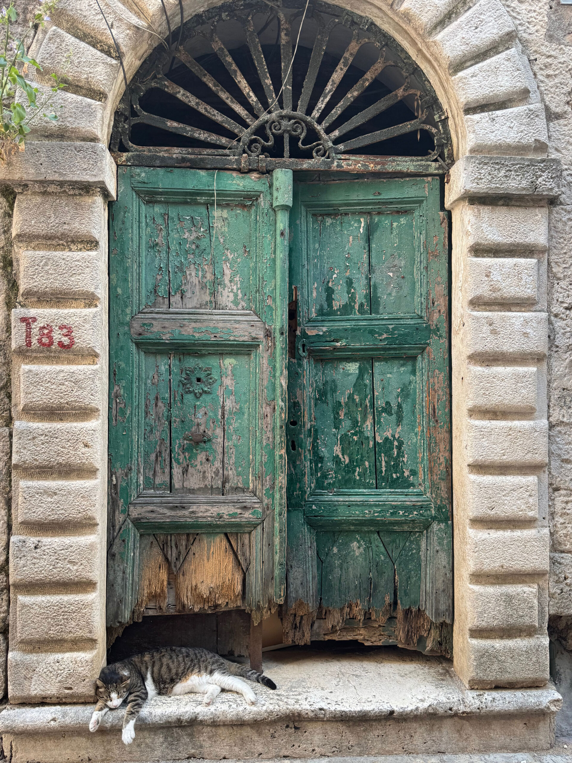 Alte grüne Holztür in der Altstadt von Kotor Montenegro