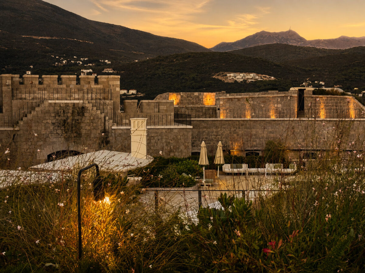Mamula Overview