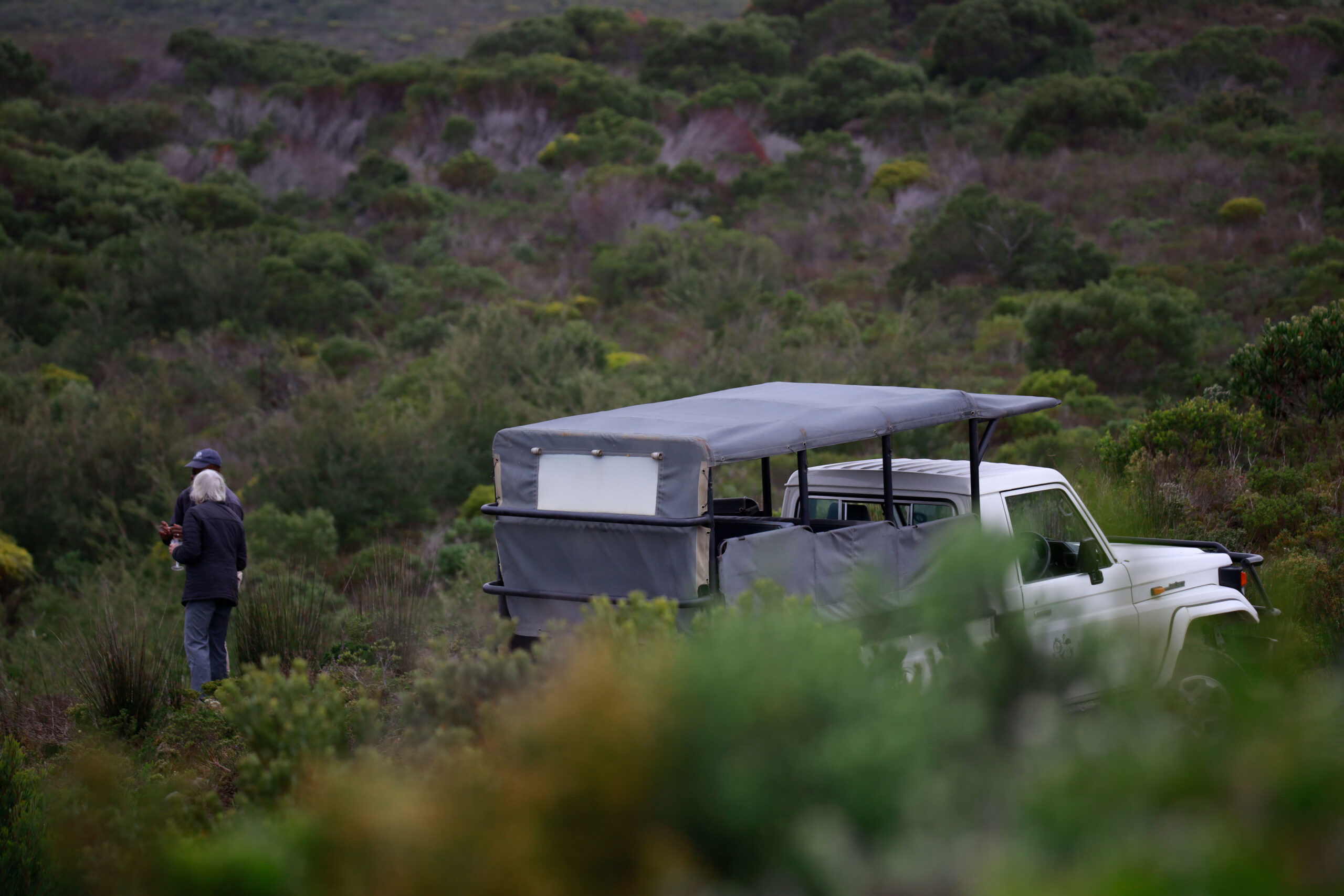 Safari-Fahrzeug unterwegs durch das Fynbos-Reservat der Mosaic Lagoon Lodge