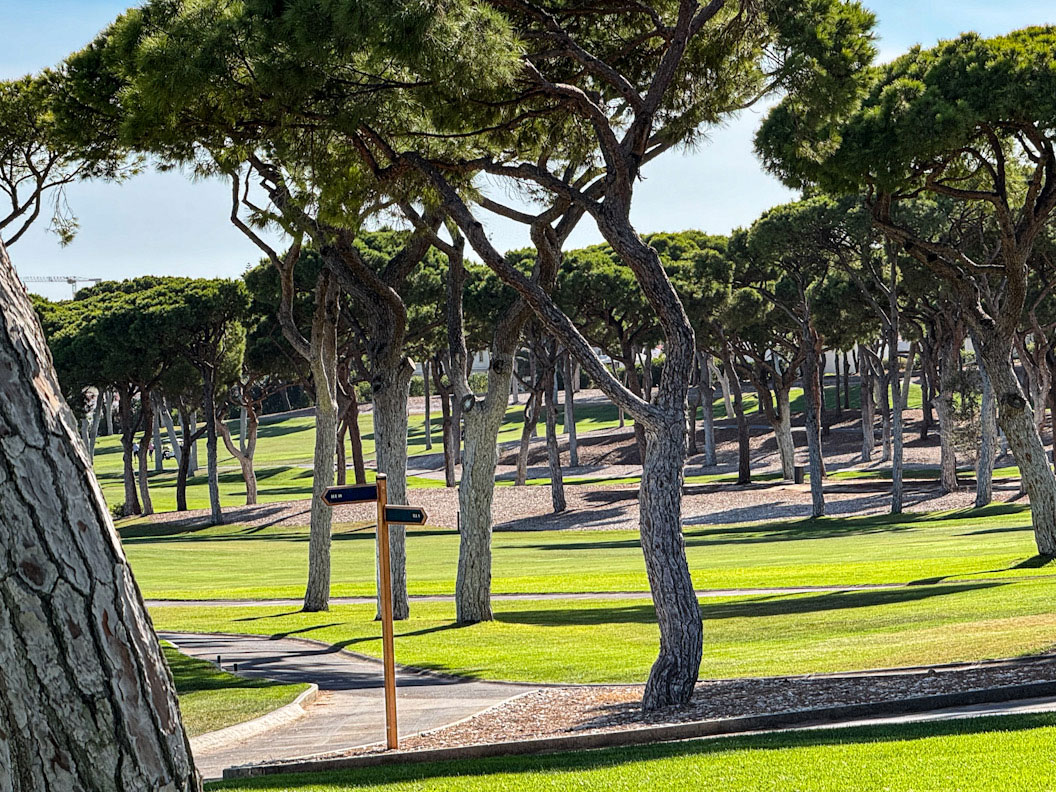 Licht und Schatten wechseln sich auf den Wegen des Old Course ab.