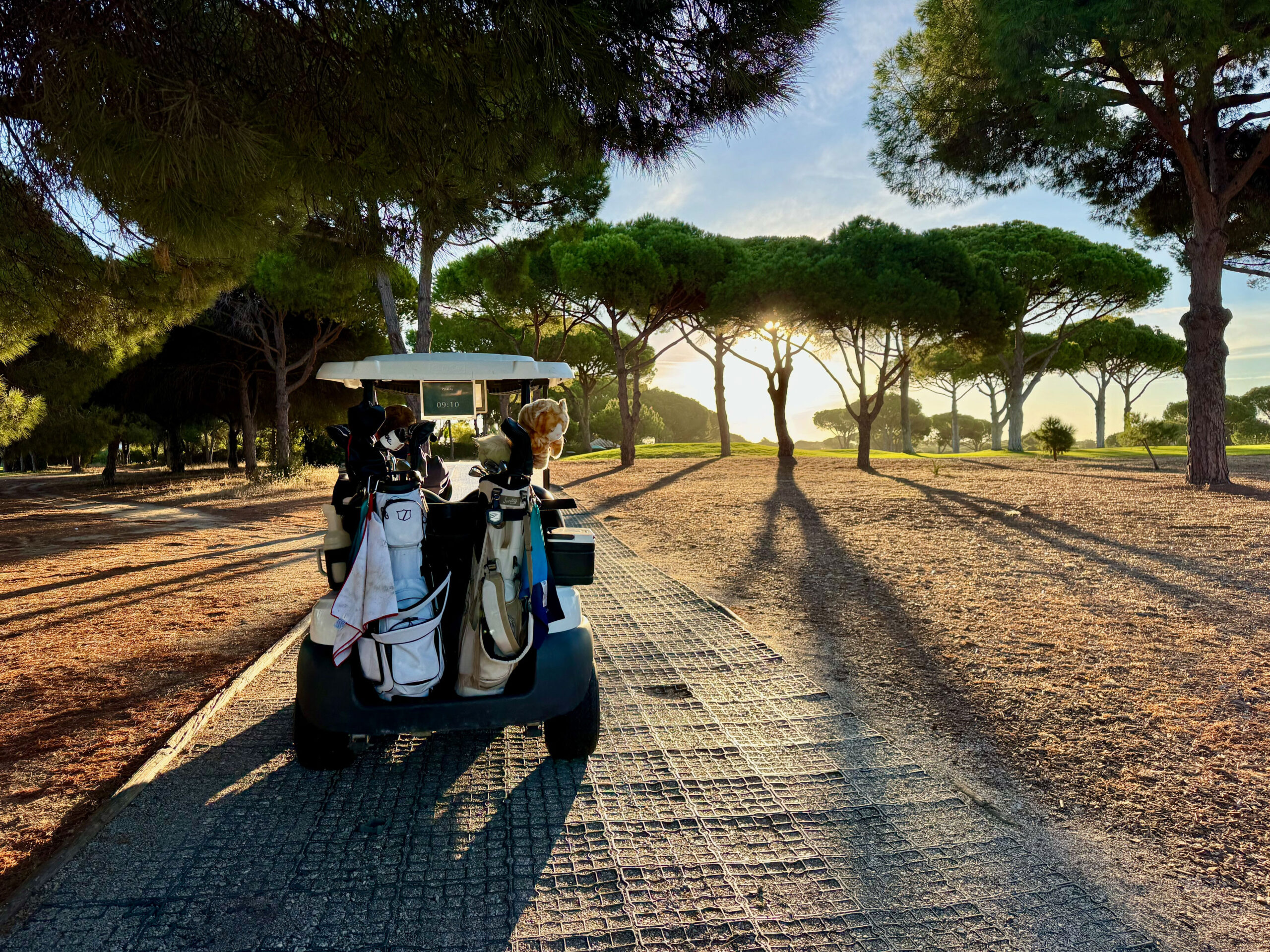 Golfwagen auf einem ruhigen Weg