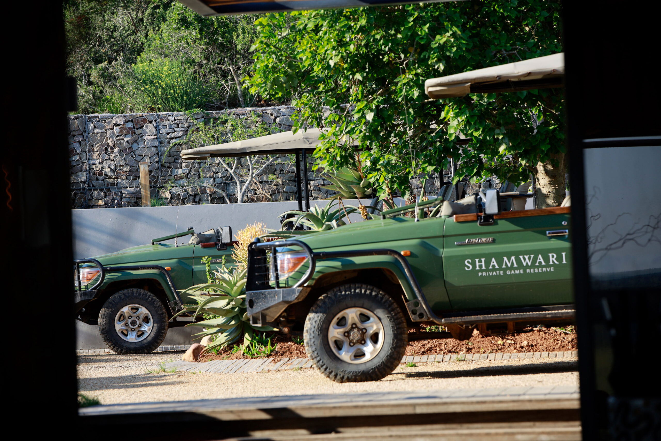 Offenes Shamwari Safari-Fahrzeug im grünen Busch des Private Game Reserve