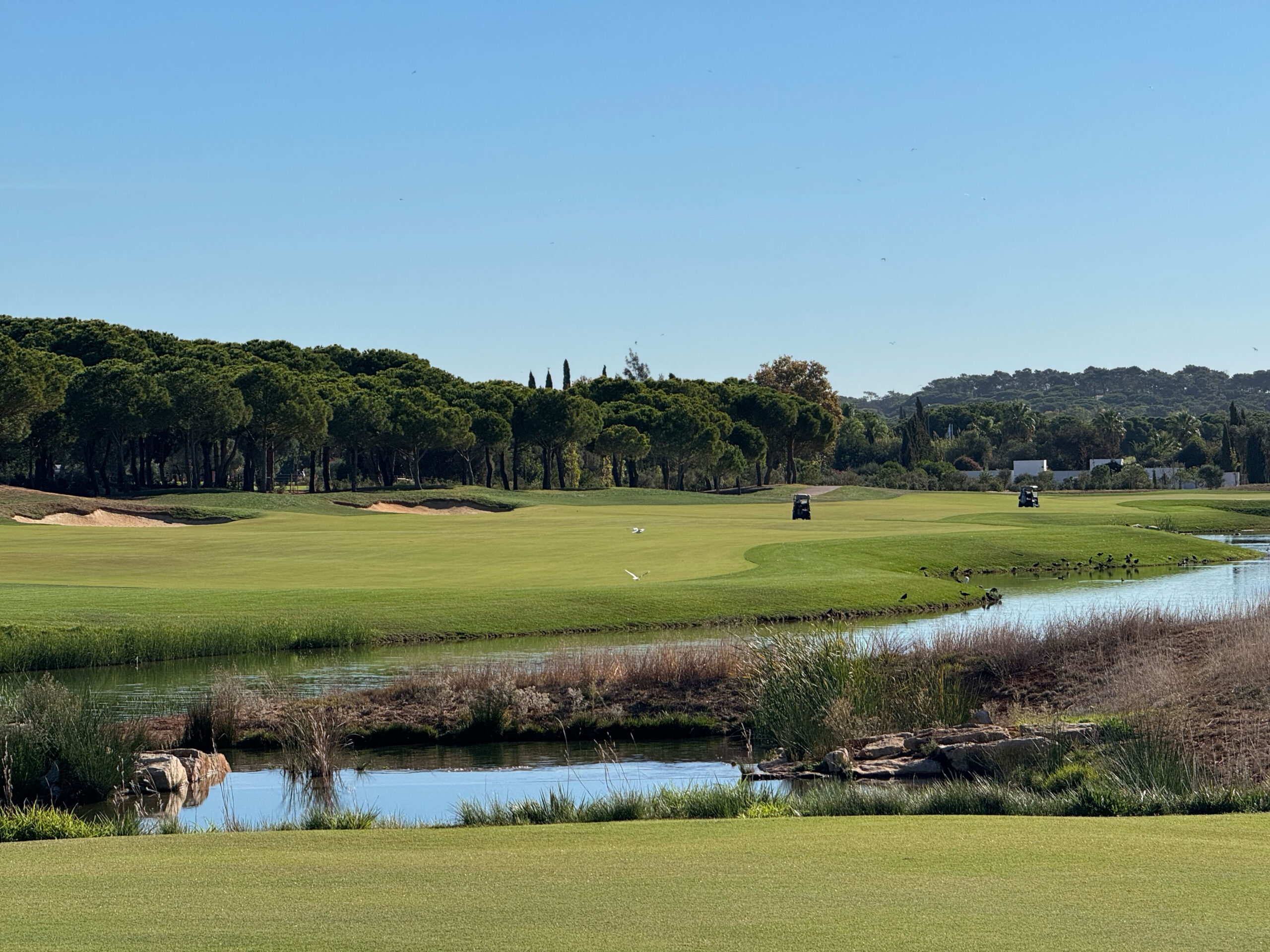 Golfplatz mit Wasser und Bäumen