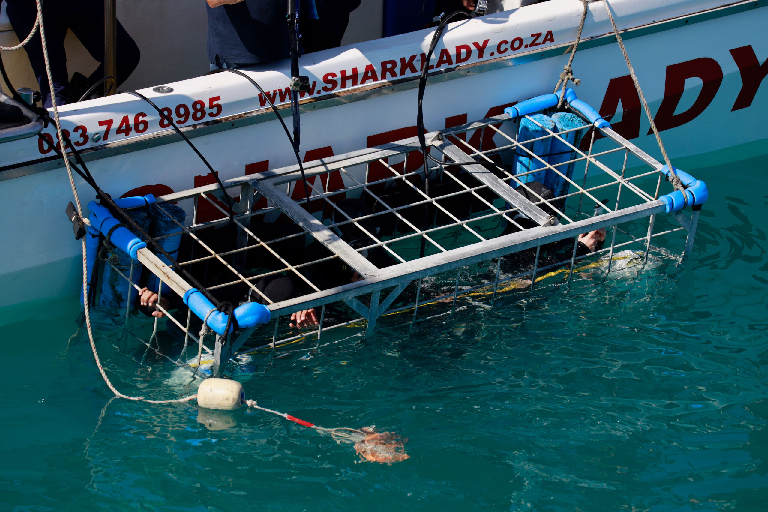 Shark-Cage-Diving-Boot vor Gansbaai in Südafrika